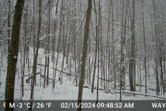 DSCF0026