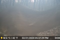 DSCF0221
