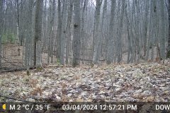 DSCF0322