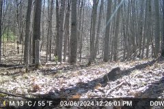 DSCF0451