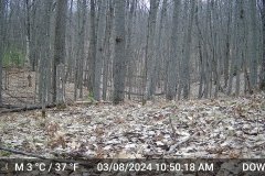DSCF0493