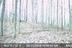 DSCF0003