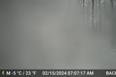 DSCF0136