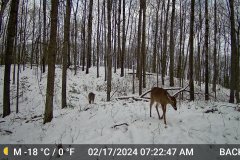 DSCF0178