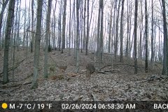 DSCF0336